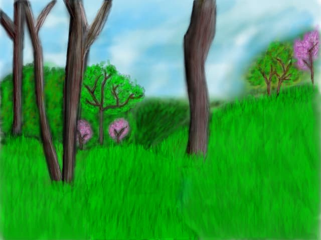 - Nature -