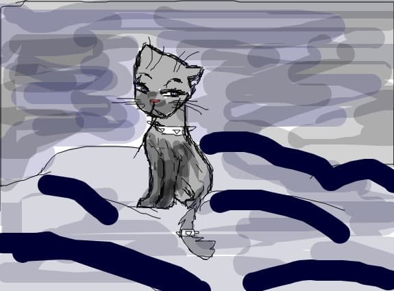rock kitty