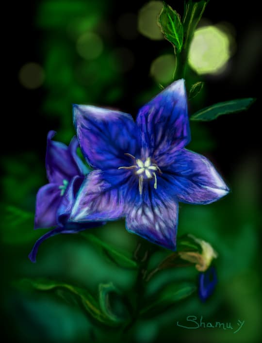 Blue flower
