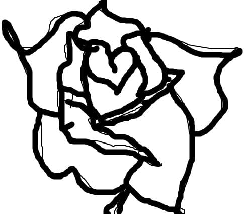 rose