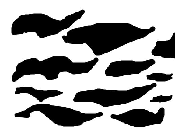piele de zebra