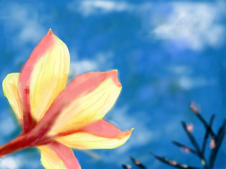 flower
