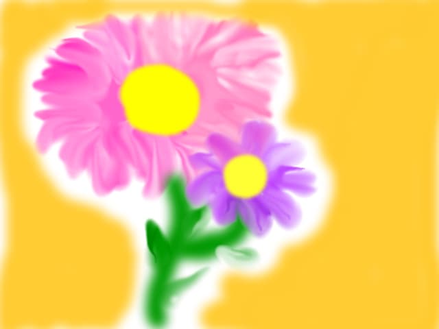 Flori