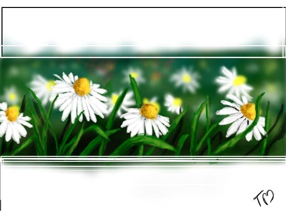 Flori