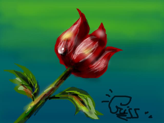Flower