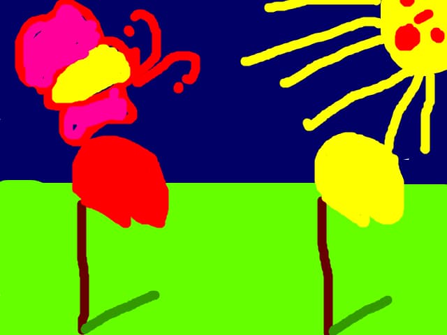 flori