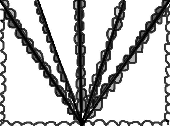 cva