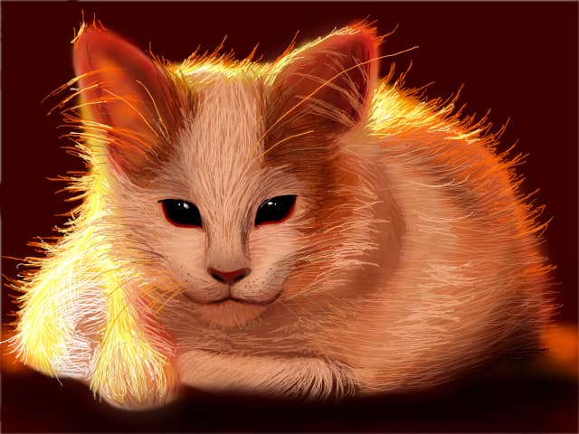 Kitty
