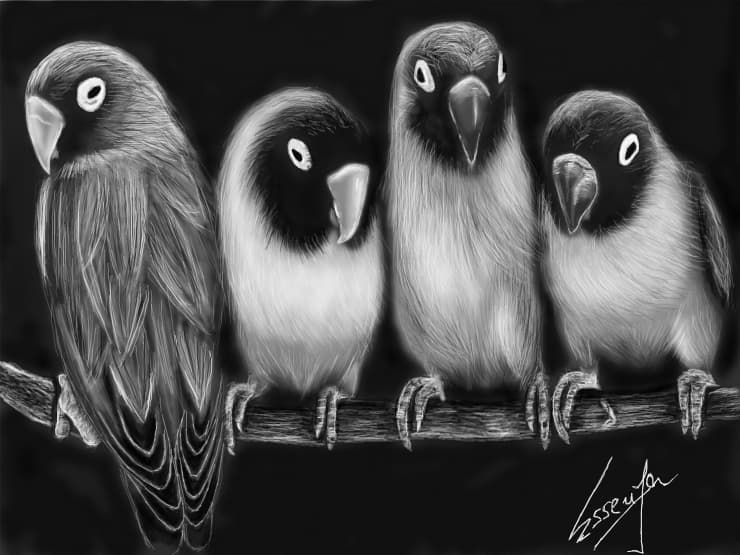 Seria 1. Parrots invasion