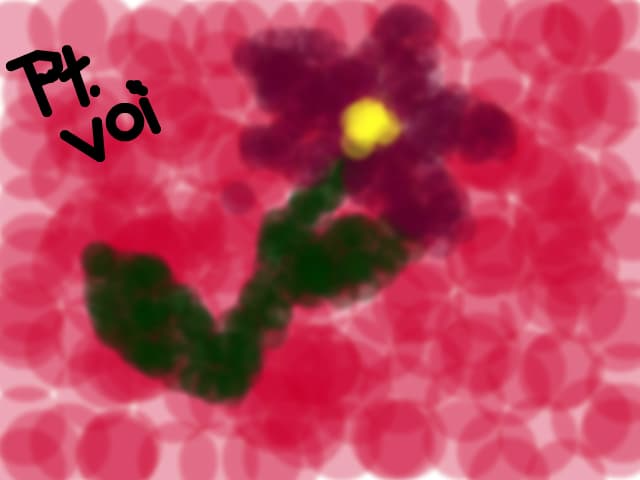 Pt voi