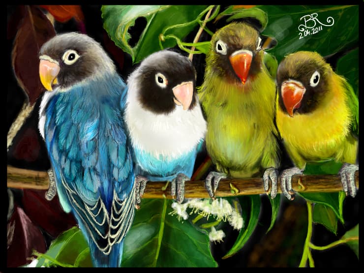 Seria 1. Parrots invasion