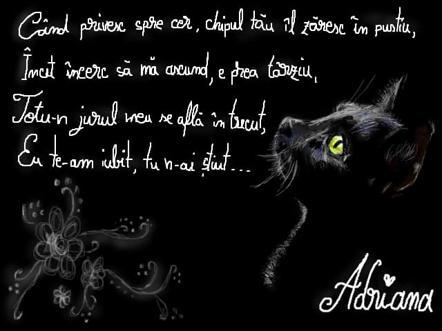 Kitty