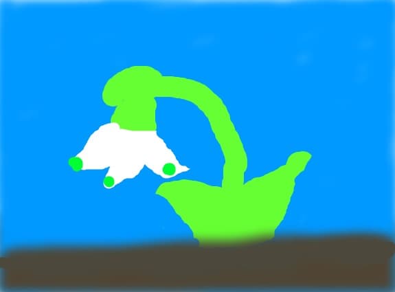 vvvvvvvvvvvvv