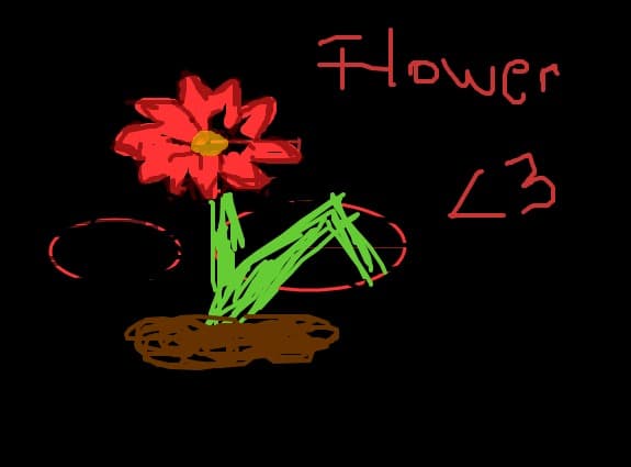 flower