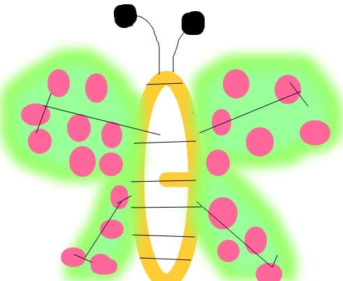 fluture