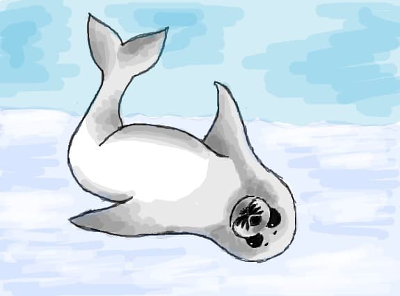 o mika foca