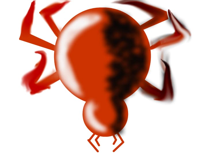 EMBLEME OF THE SPIDERS