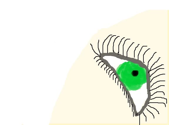ochi
