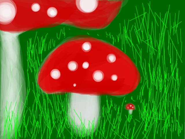 Ciupercutze :)