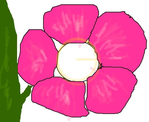 florare