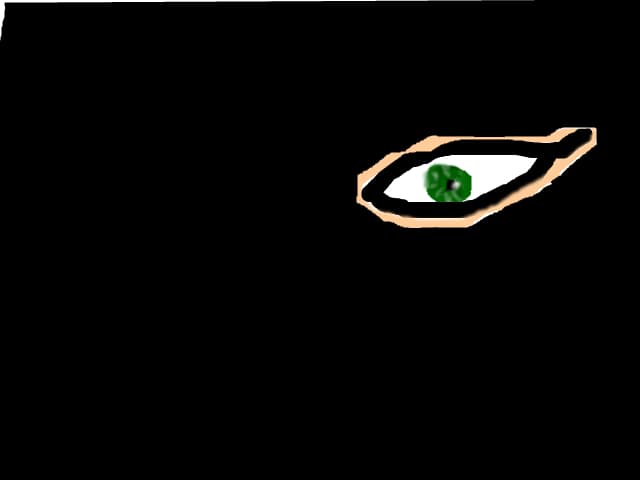 ochiul