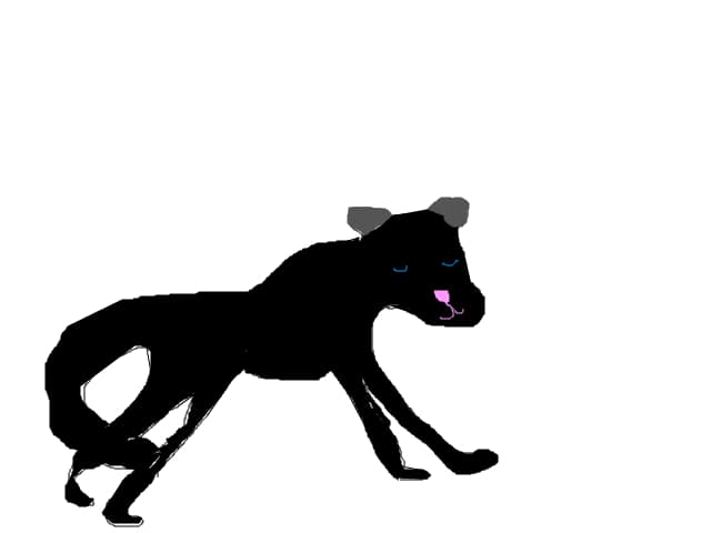 pantera neagra