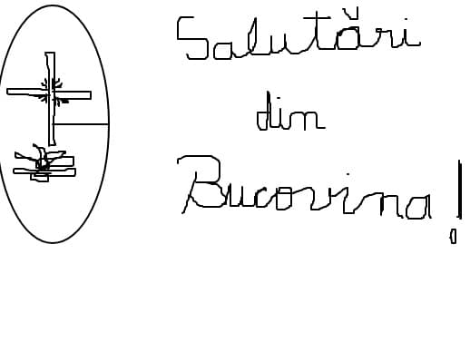 cu emotii...