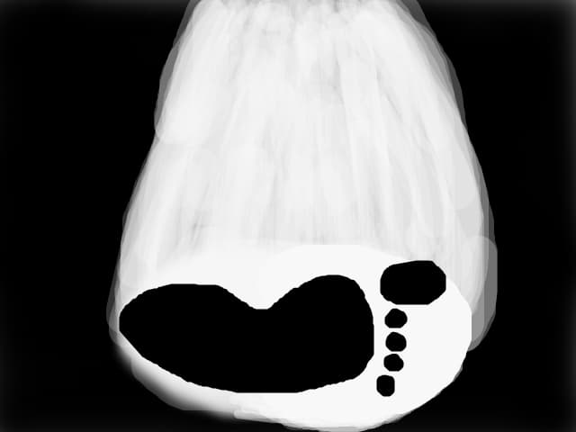 lumina