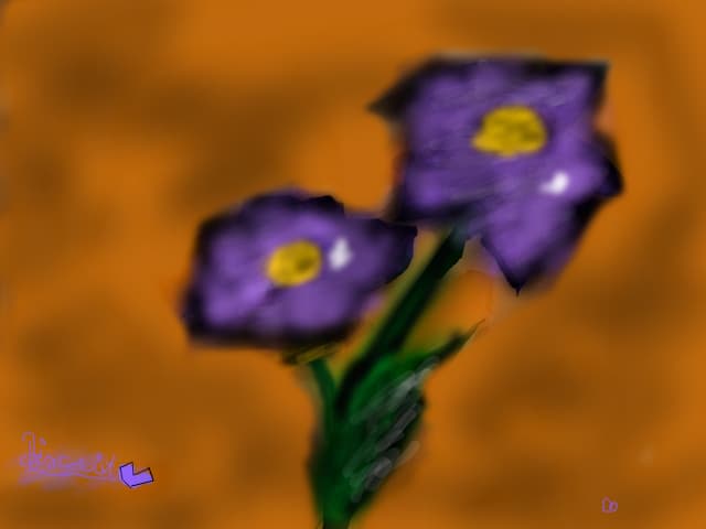 Floare..xp