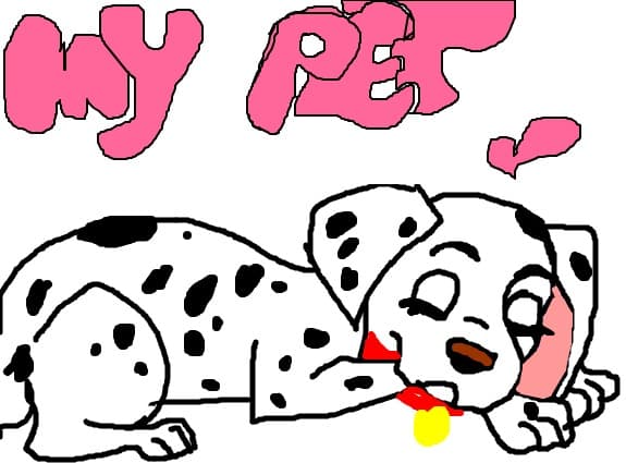 my pet