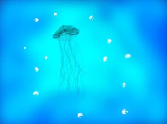 meduza