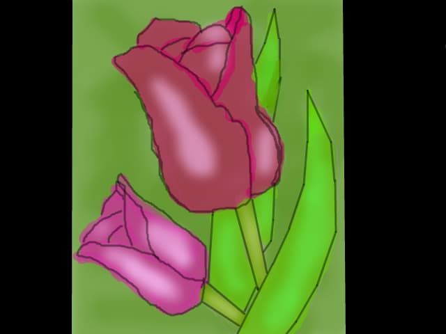 Tulip