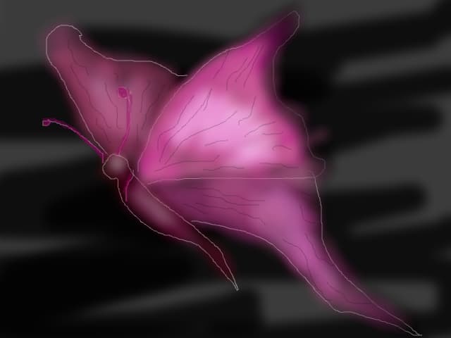 Butterfly