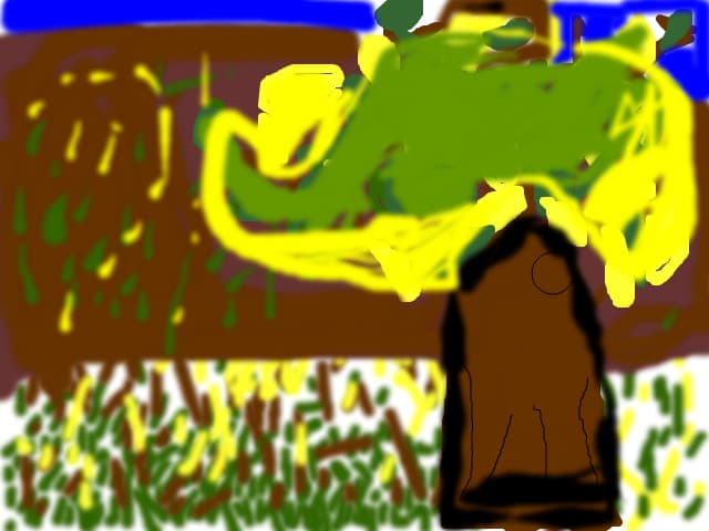 PEISAJ