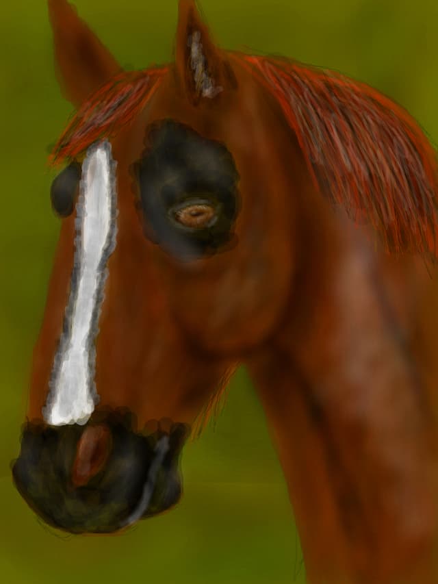 A horse....