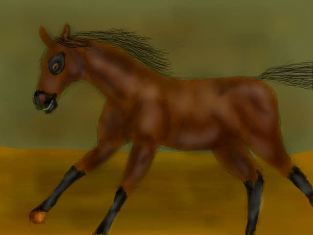 Galop