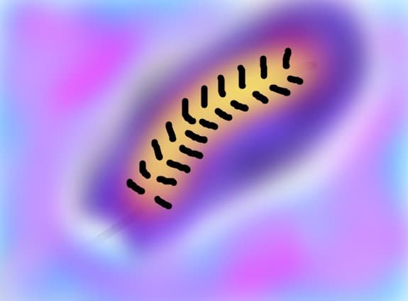 maria