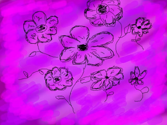 Flori