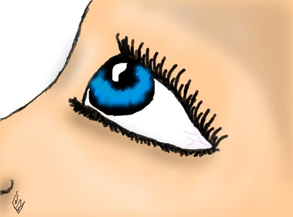 visatoare
