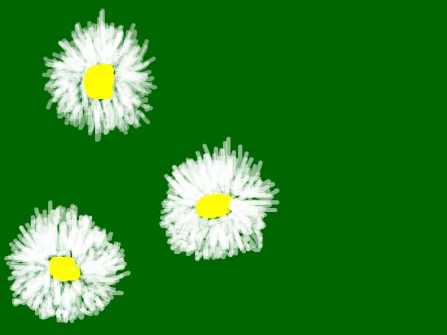 floricele de pe camp