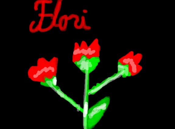 flori rosii