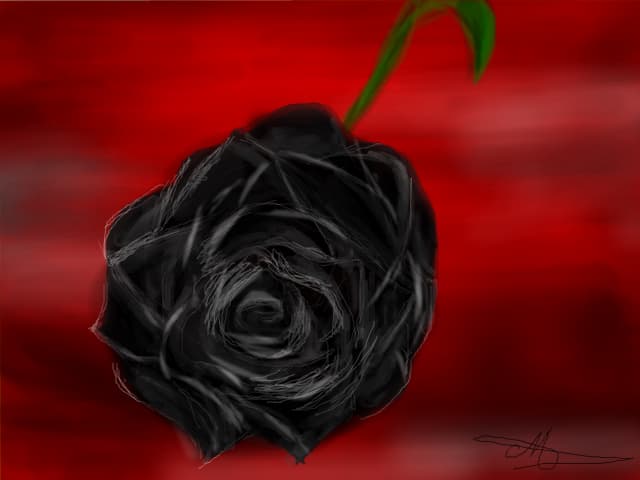 rose