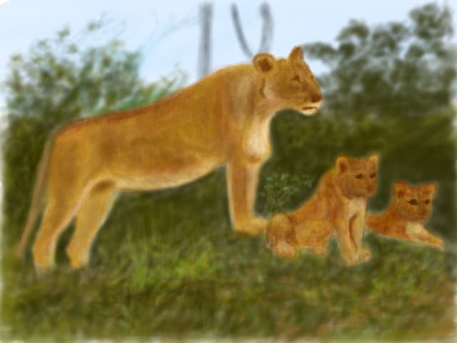 Feline