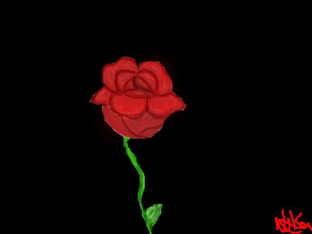 rose..for u.
