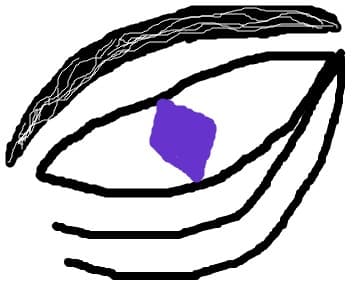 ochi