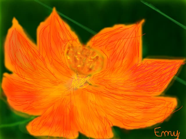 orange flower