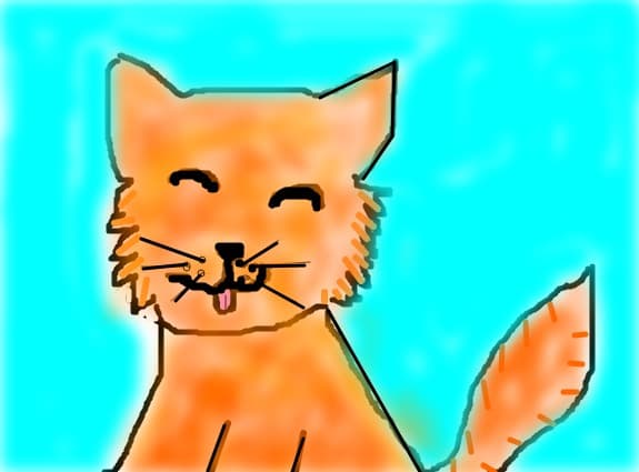 kitty