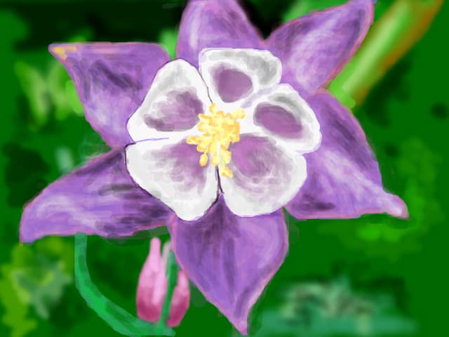 FLOARE