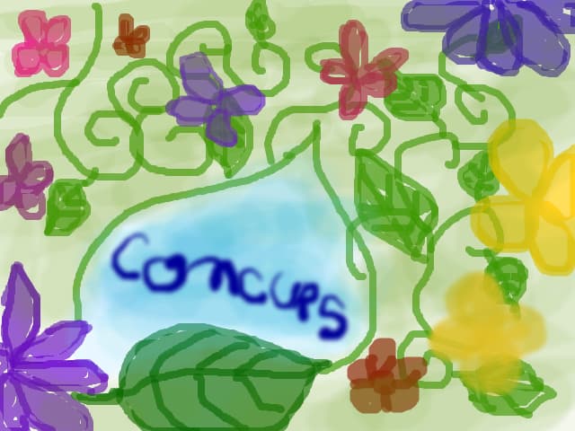 Concurs