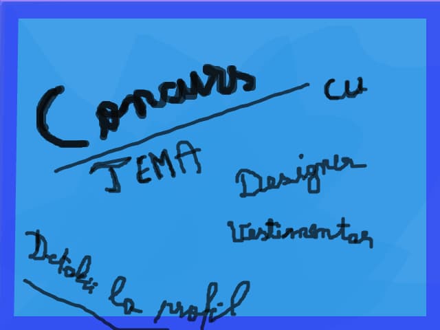 concurs cu tema designer vestimentar